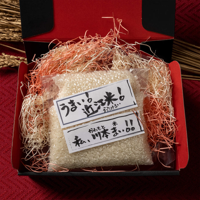 うまい!近江米!私、川本まい!!【滋賀県の実家で愛情たっぷり丁寧に育てたお米】